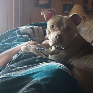 Meet your Posher, Åmber